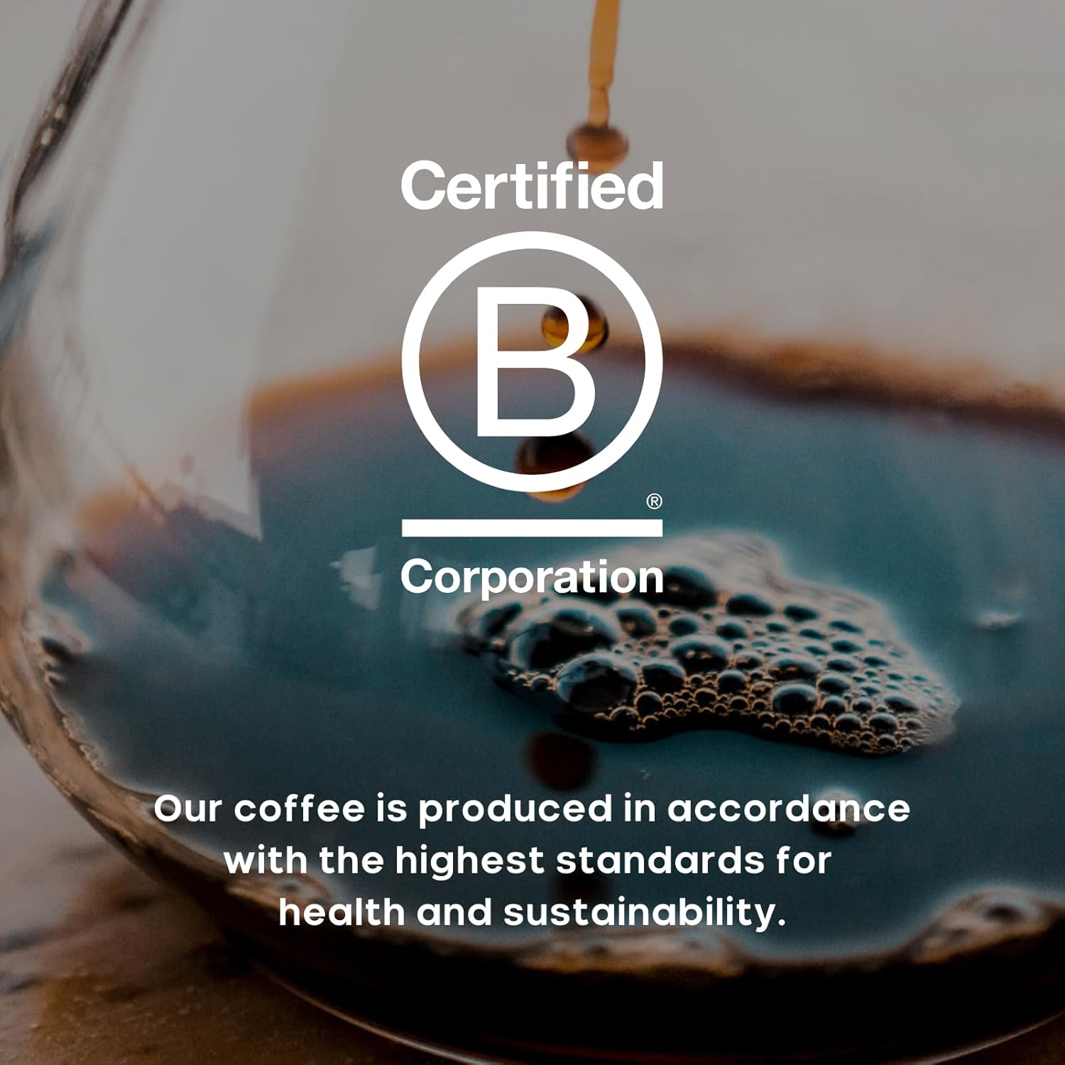 PROTECT: Light-Medium Roast – Whole Bean Coffee – 2268g