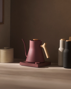 Fellow Stagg EKG Electric Kettle